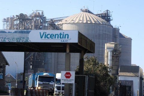 Vicentin3