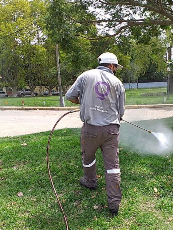 Fumigación contra el dengue 4