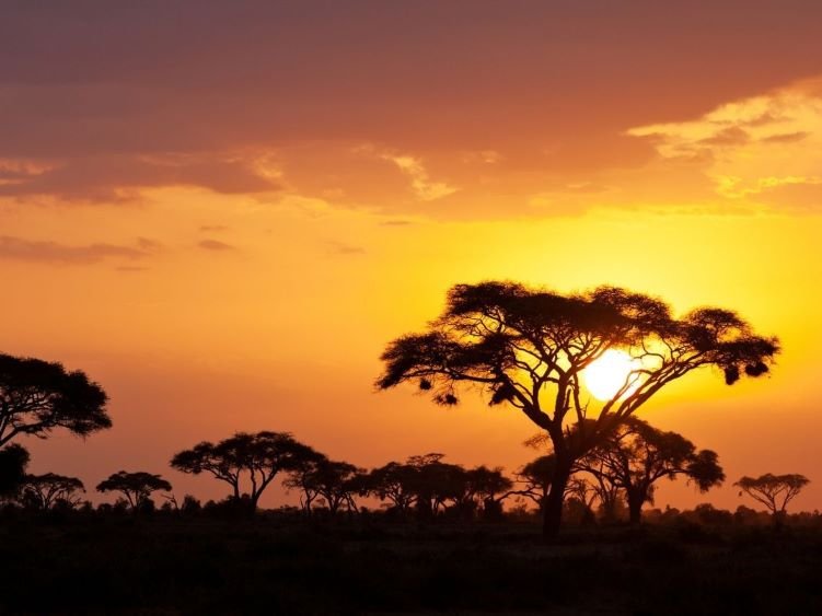 africac-1_0