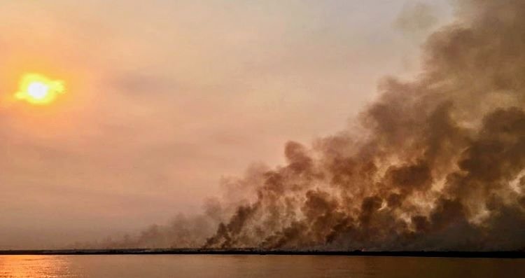 incendios-islas-parana-2