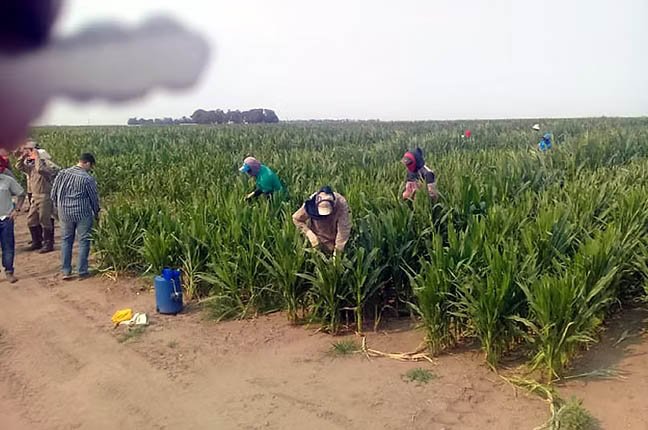 Trabajadores Agrarios- Periodismo en Jaque